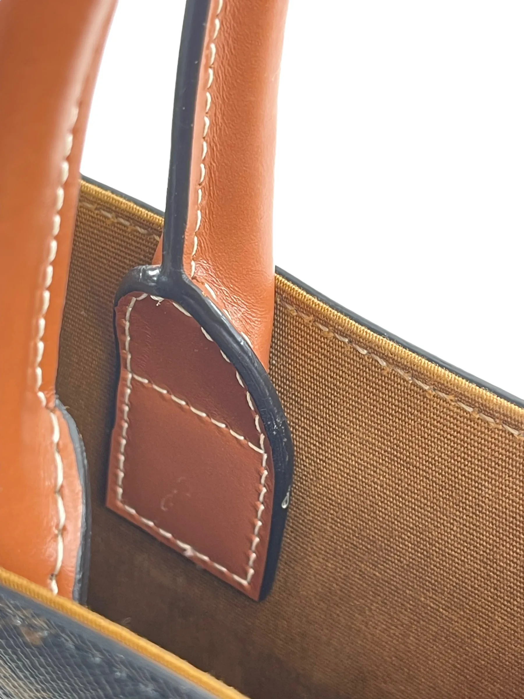 Celine Mini Cabas Vertical Monogram Canvas Crossbody